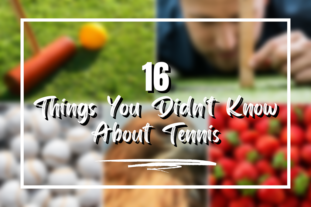 16 Things You Didn't Know About Tennis